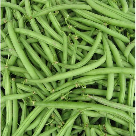 Green Beans