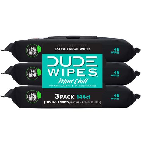 DUDE Wipes Flushable Wipes, Mint Chill, Extra Large