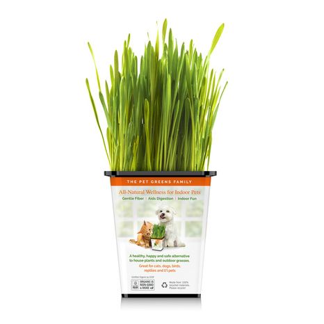 Pet Greens Original Wheat Grass Certified Organic Pet Grass Gluten Free
