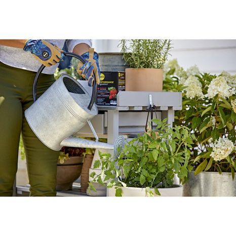 Miracle Gro Performance Organics Edibles Plant Nutrition