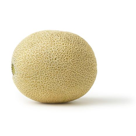 Cantaloupe