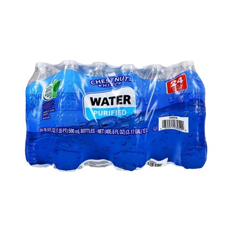 CHESTNUT HILL Purified Water