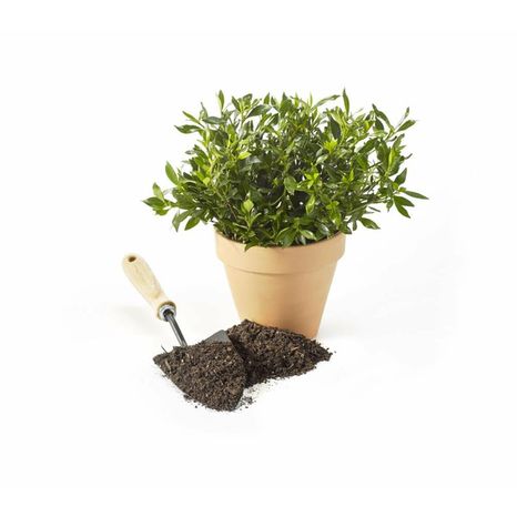 Sta-Green Potting Soil Mix