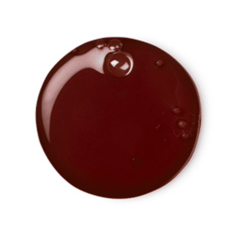 Lush Sticky Dates Shower Gel
