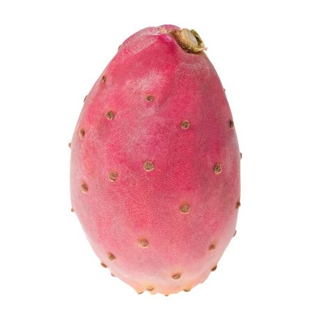Cactus Pear