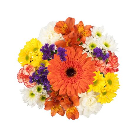 Bloom Haus Harmony Bouquet