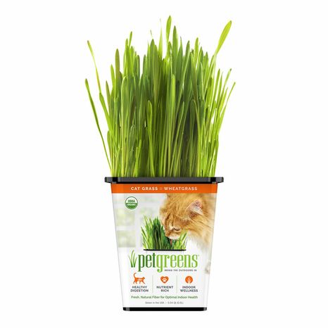 Pet Greens Original Wheat Grass Certified Organic Pet Grass Gluten Free