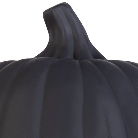 Holiday Living Pumpkin Craft Pumpkin | 551697