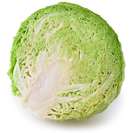 Savoy Cabbage