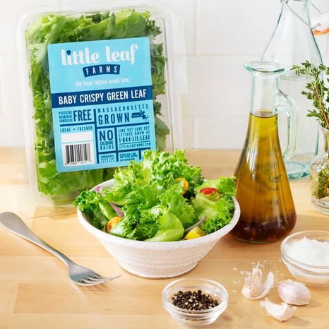 Little Leaf Farms Baby Crispy Green Leaf Lettuce