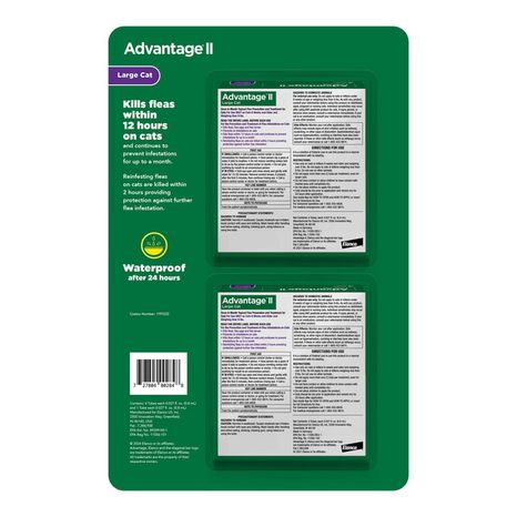 Elanco Advantage Large Cat Flea Prevention & Treatment