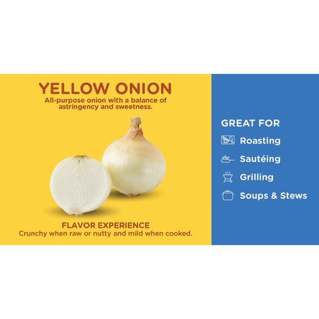 Yellow Onion Bag