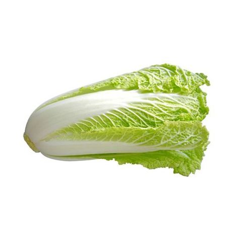 Napa Cabbage
