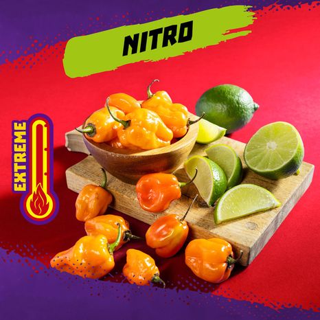 Takis Nitro 9.9 oz Sharing Size Bag, Habanero & Lime Flavored Extreme Spicy Rolled Tortilla Chips