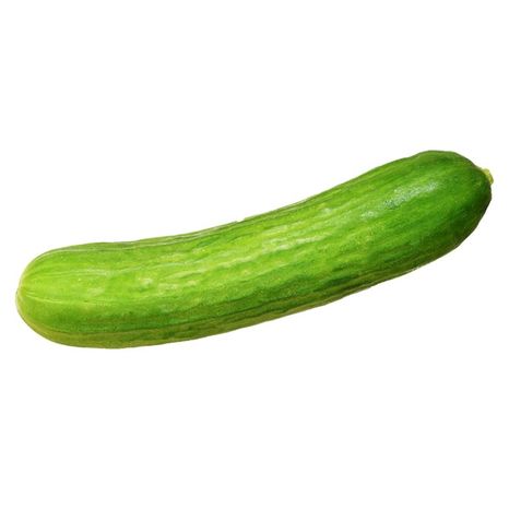 Persian (Armenian) Cucumber
