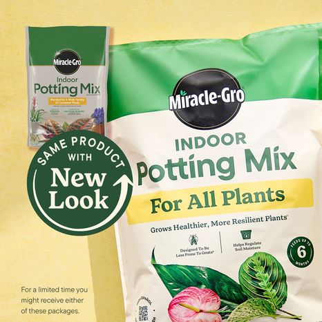 Miracle-Gro Indoor Potting Mix