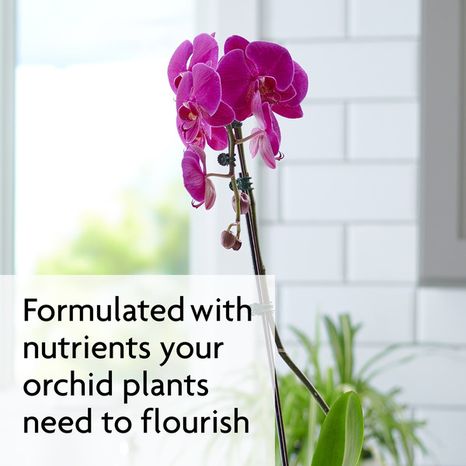 Miracle-Gro Plant Food Spikes, Orchid