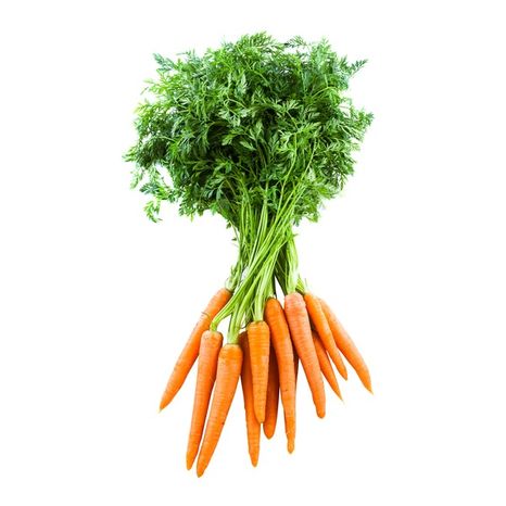Organic Carrot Bunch