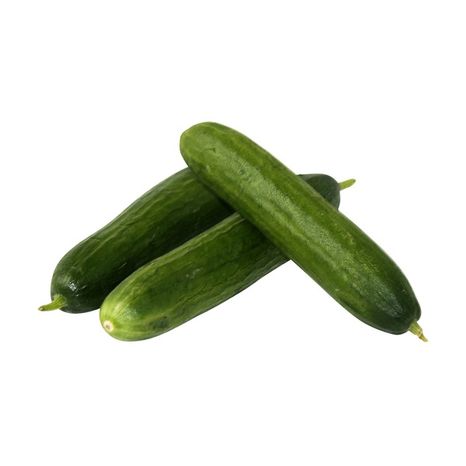 Organic Persian (Armenian) Cucumber