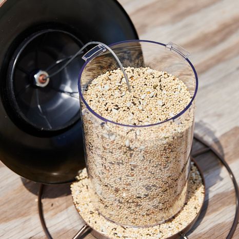 Red River Commodities Hello Birds Bird Seed