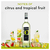 Ecco Domani Pinot Grigio