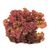 Red Leaf Lettuce