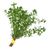 Thyme Bunch