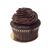 Chocolate Cupcake