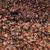 Marian Farms Organic Biodynamic Thompson Raisins