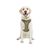 Redy Extra Large-Extra Extra Large Green Dog Harness