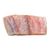 Fresh Red Snapper Fillet