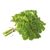 Curly Parsley Bunch