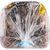 Food for Life Bread, Cinnamon Raisin