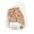 Veal Sweetbreads