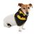 Warner Brothers / DC Comics Large/Extra Large Batman Bandana