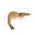 Raw Head-On Shrimp