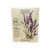 Botanical Intereasts English Lavender Seeds