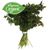 Organic Italian Parsley