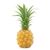 Mini Pineapple