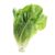 Nature's Reward Romaine Hearts