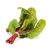 Red Chard