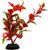 Petco Fore Bred Pearl Plant