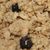 Wild Blueberry Flax Granola