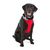 Extra Large & Extra Extra Large Blue Redy Dog Harness