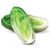 Romaine Hearts, Package