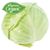 Organic Green Cabbage