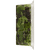 Earthbound Farm Organic Sweet Baby Lettuces
