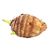 Taro Root