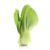 Baby Bok Choy Package