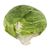 Iceberg Lettuce